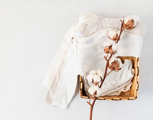 Proč investovat do organické bavlny ?