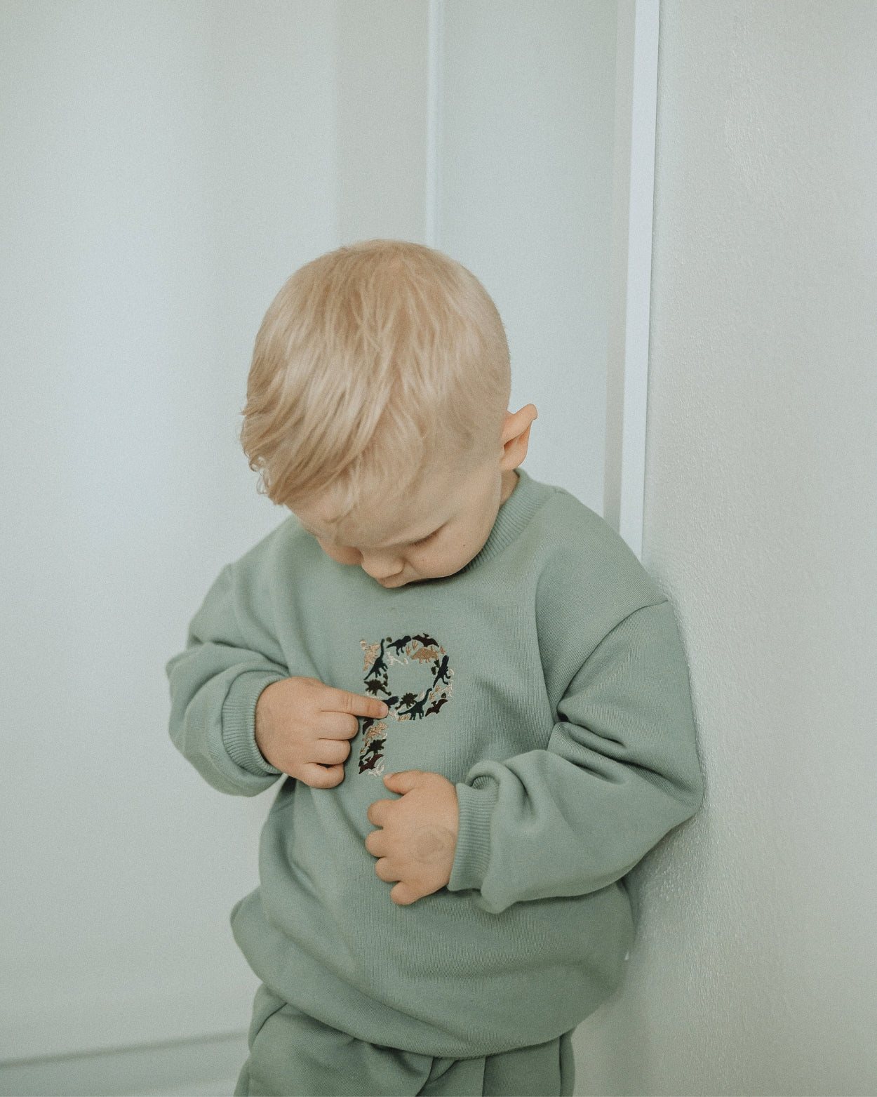 Personalizovaná mikina - Mint